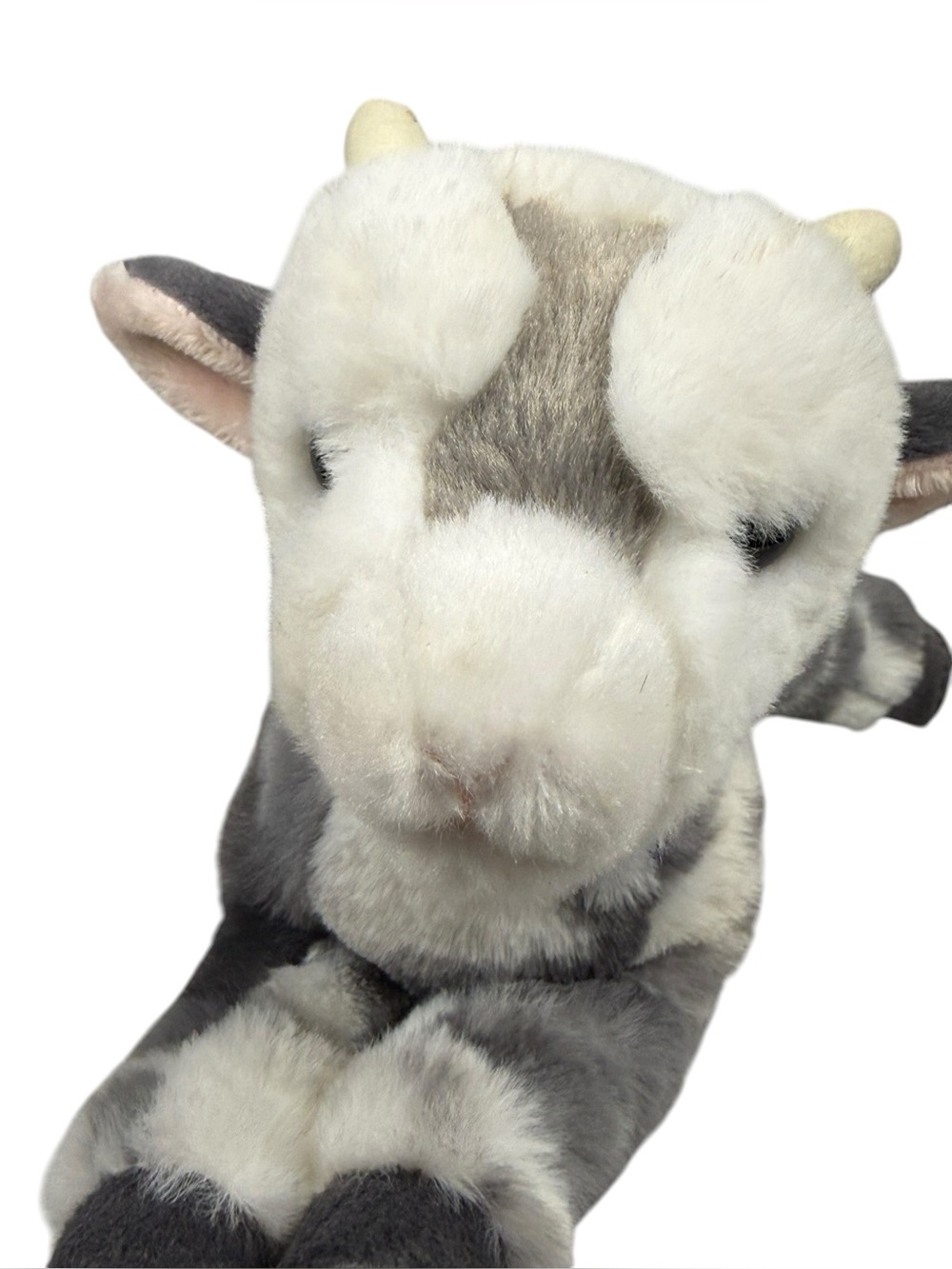 Douglas Cuddle Toy Poppy The Floppy Goat 8 Inches Soft Stuffie - Picture 3 of 12